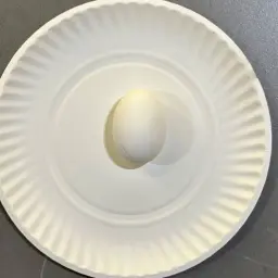 Boiled Egg